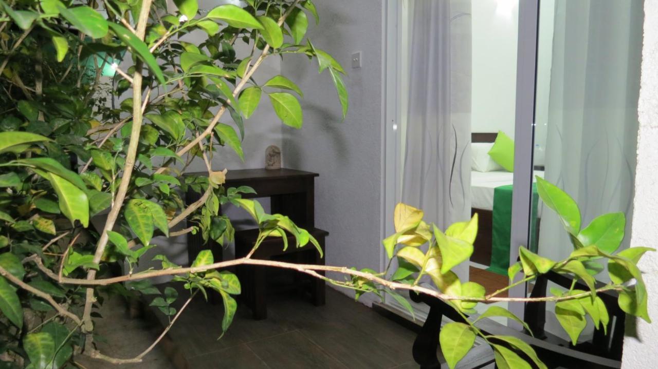 Senomaal Sigiri Resort Dambulla Εξωτερικό φωτογραφία